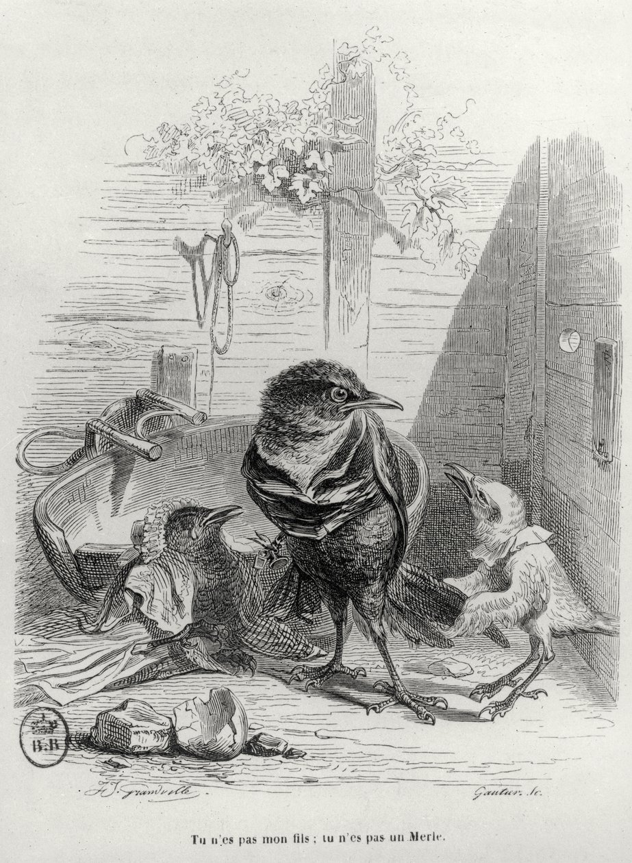Illustration för LHistoire dun merle blanc, graverad av Gautier av Grandville 1803 47 after Grandville 1803 47 after