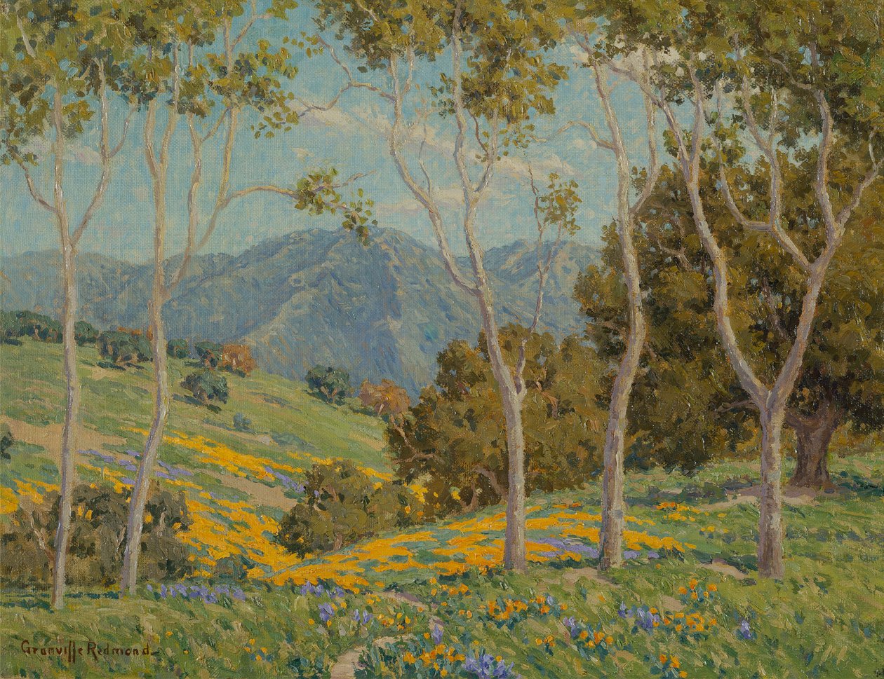 Vallmo och eukalyptus (olja på duk) av Granville Redmond