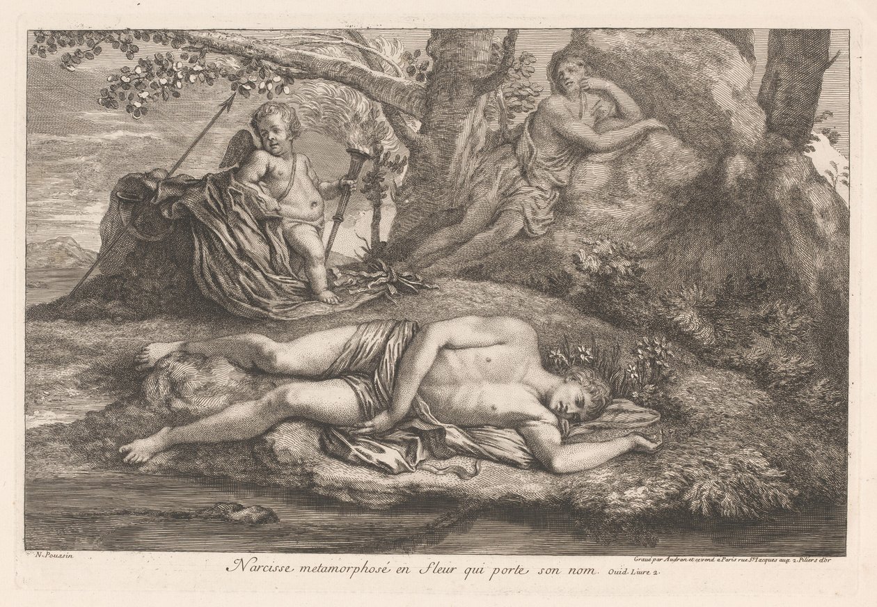 Narcissus i Echo Narcissus omvandlas till en blomma som bär hans namn (titel på objektet) av Gérard Audran