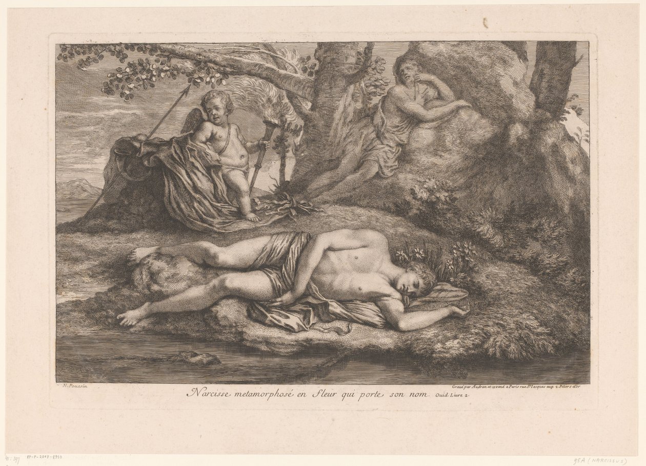 Narcissus i Echo Narcissus förvandlas till en blomma som bär hans namn (titel på objekt) av Gérard Audran