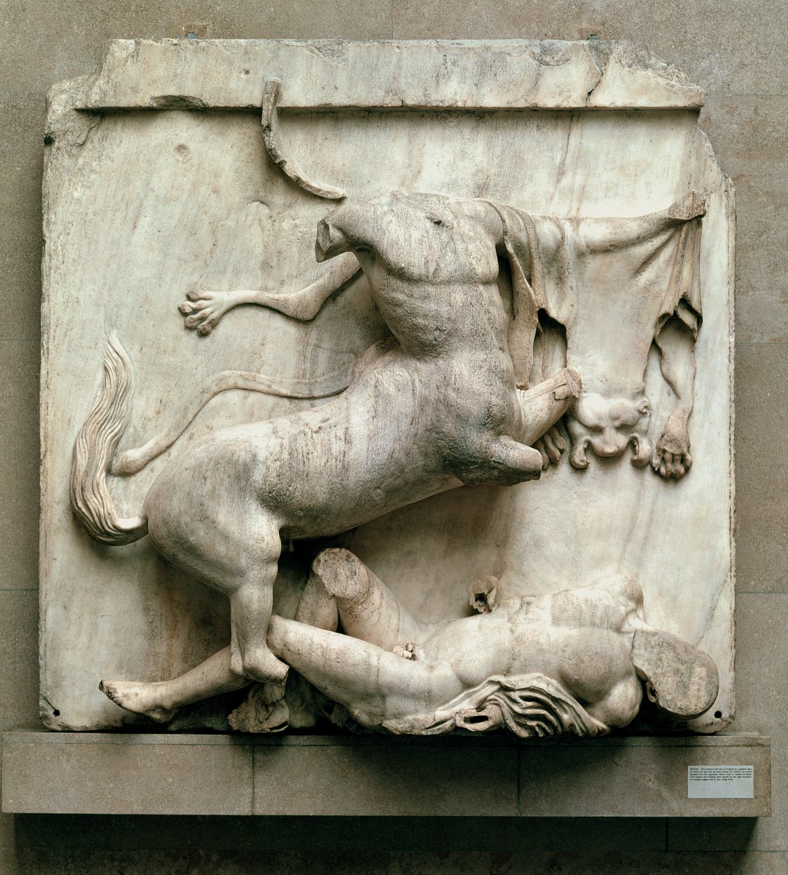 En kentaur som triumferar över en lapith, metop XXVIII från södra sidan av Parthenon, 447-432 f.Kr. (marmor) av Greek