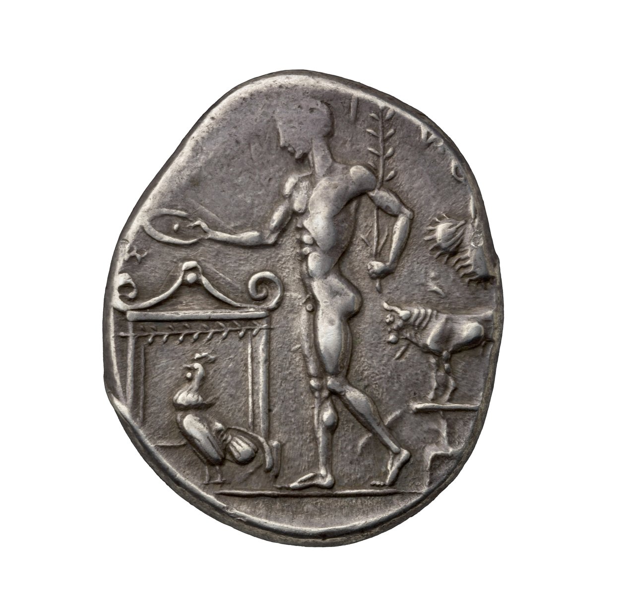 Forntida grekiskt silvermynt från Selinus, 450 f.Kr. (silver) av Greek