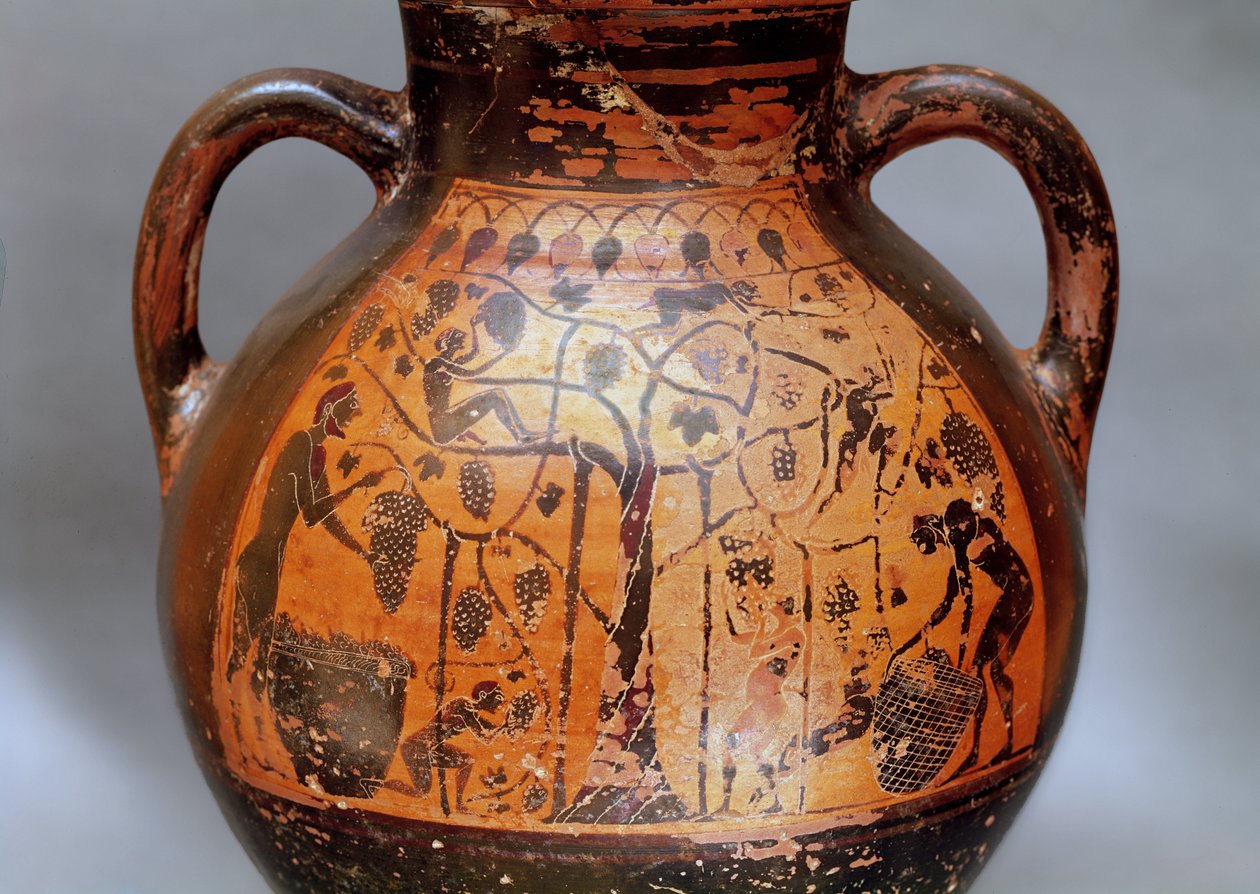 Amfora i Rhodian stil som visar plockning av druvor (keramik) av Greek