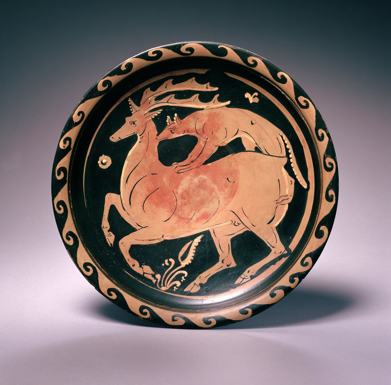 Apuliens rödfigursfat, tillskriven Lampas-målaren, c.350-325 f.Kr. (terrakotta) av Greek School