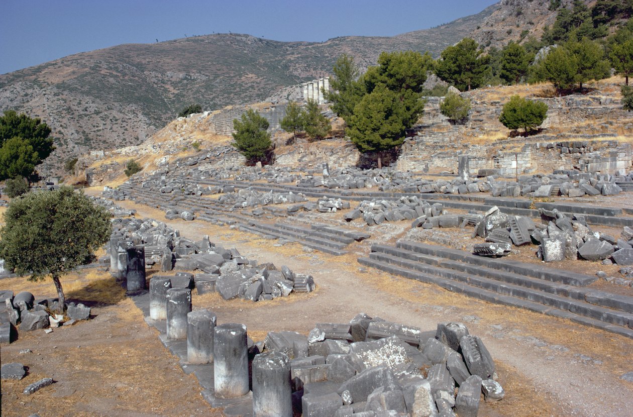 Allmän vy med gatan och agora av Greek School
