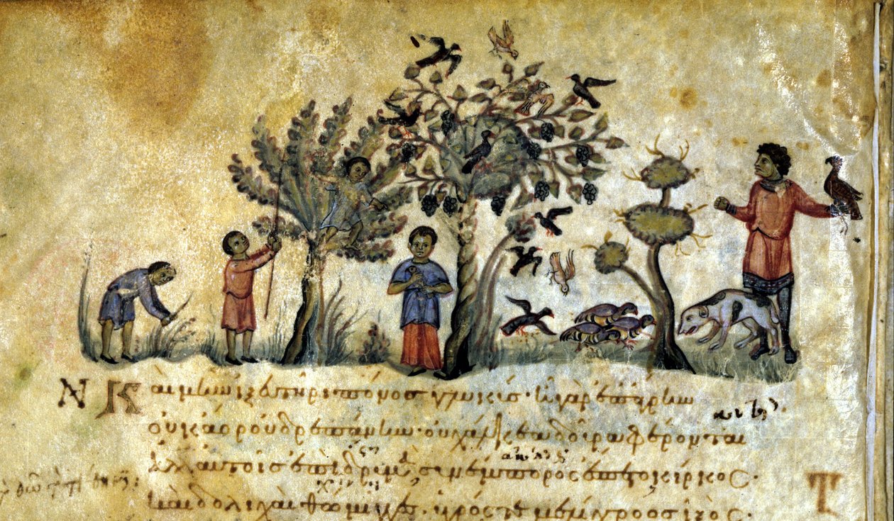 Jaga med falken och fånga fågelbon. Grekiskt manuskript av Oppianus De Venatione 1200-talet. av Greek School