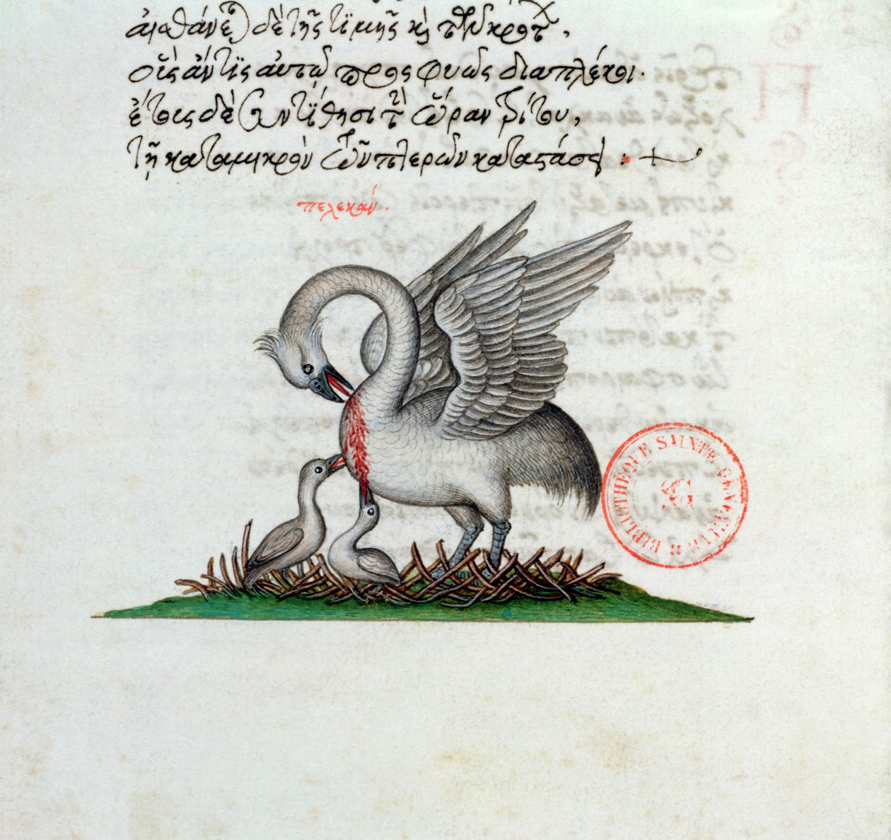 Ms 3401 A Pelican Piercing itsbrast to feed its young, from a bestiary av Manuel Philes, 1566 av Greek School