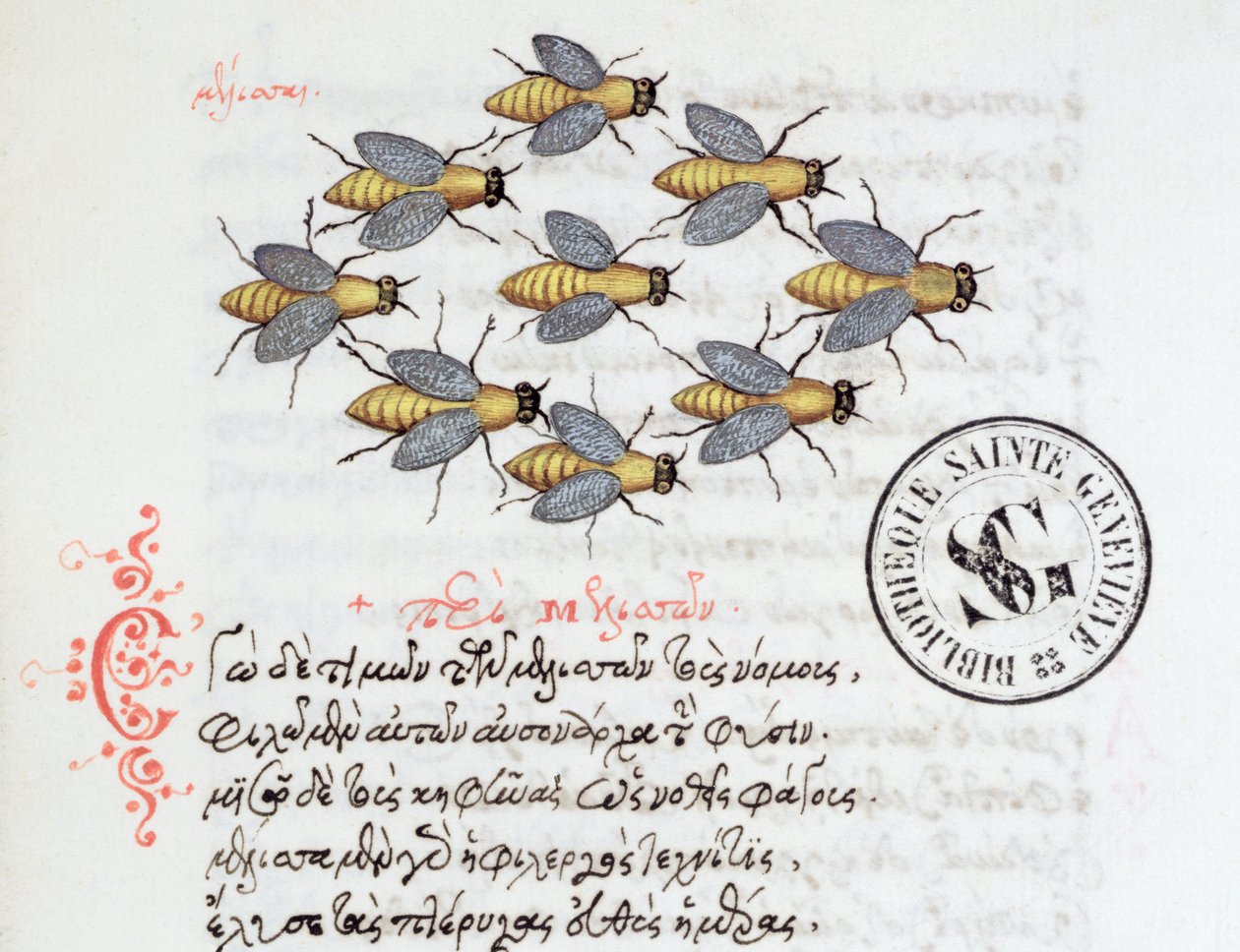 Ms 3402 Bees, från ett bestiary av Manuel Philes, 1566 av Greek School