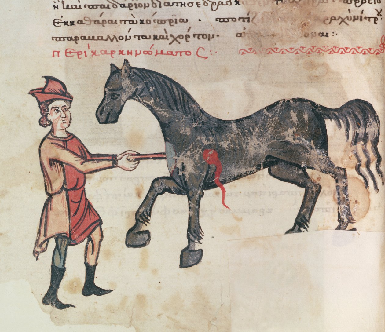 Ms Grec 2244 fol.37v Opererar en häst av Greek School