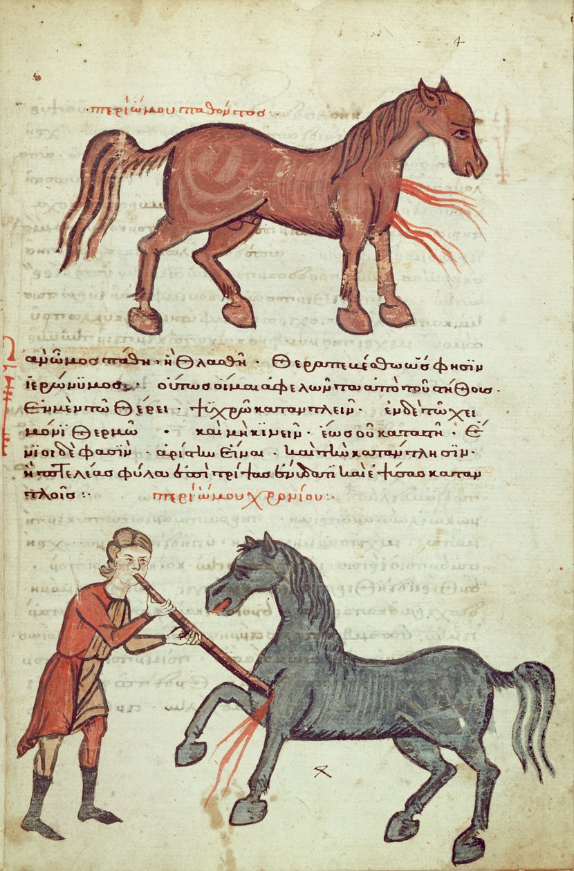 Ms Grec 2244 fol.4 Operera en häst av Greek School
