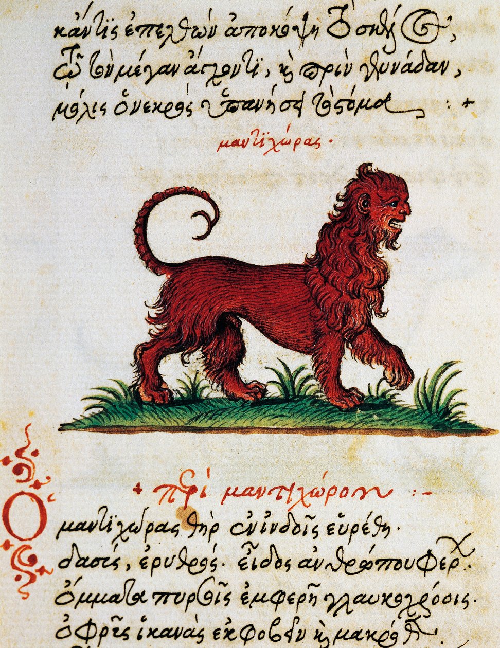 Avhandling om Gryphon, test och miniatyr från Aelianus (2:a-3:e århundradet e.Kr.) av Greek School