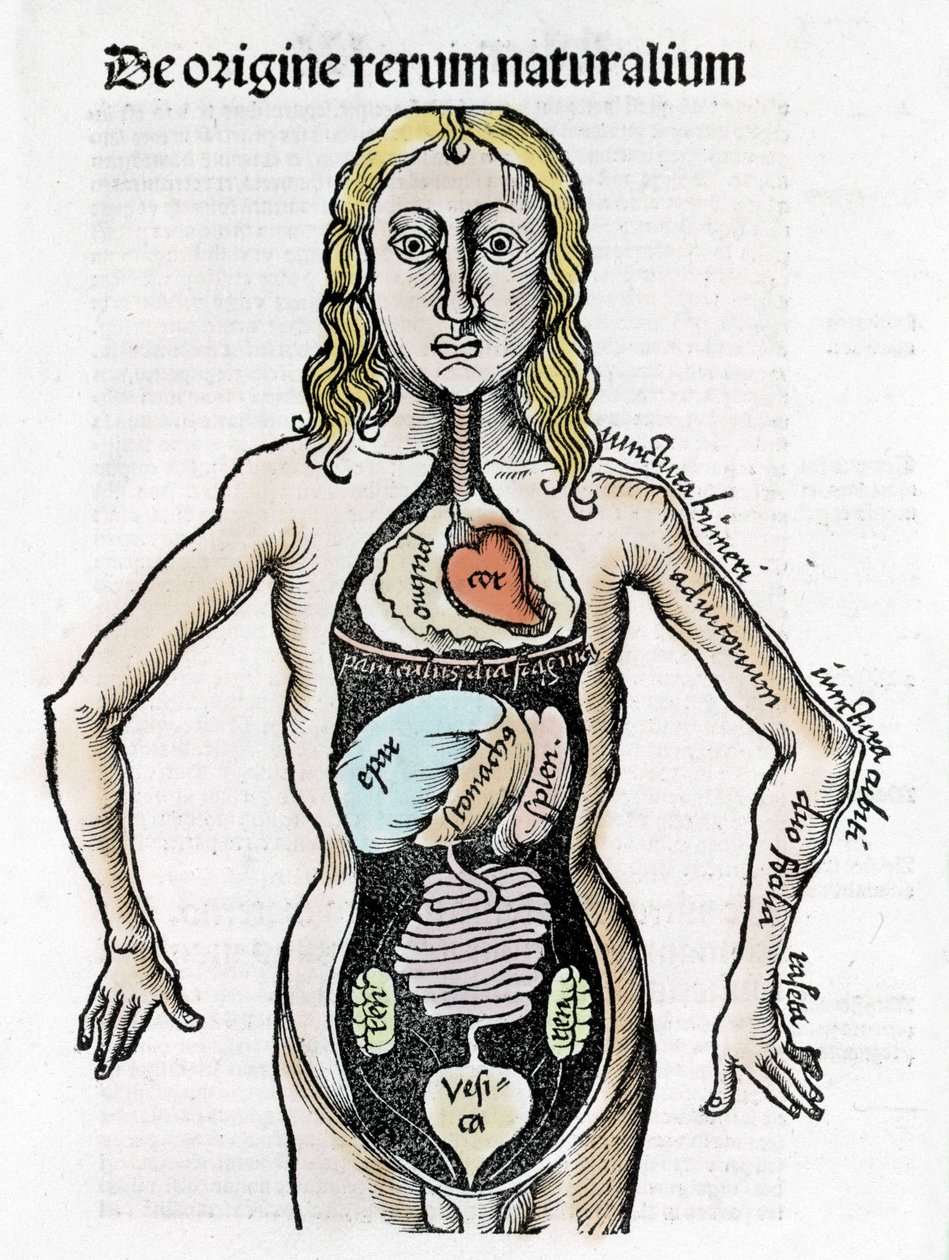 Gregor Reisch (1467-1525), Bale 1517 - Margareta av Philosophica (1467-1525), Bale av Gregor Reisch