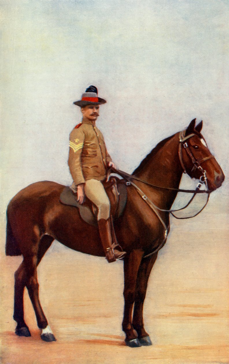"Sergeant-Major of the New South Wales Lancers", 1900. av Gregory and Co
