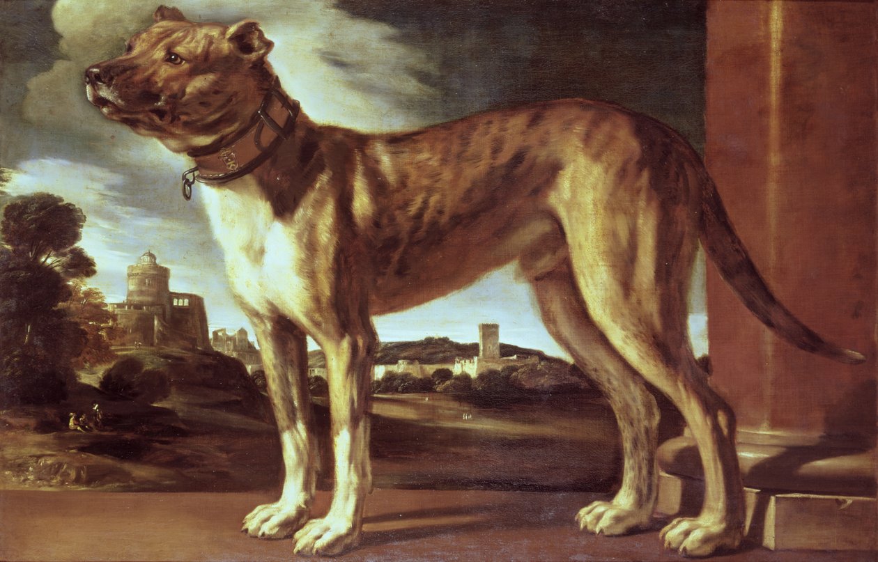 Porträtt av en hund av Giovanni Francesco Barbieri