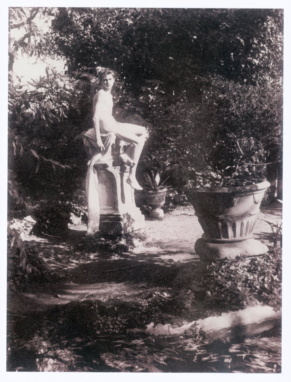 Fotograf (foto) av Guglielmo (1852 1930) Plüschow