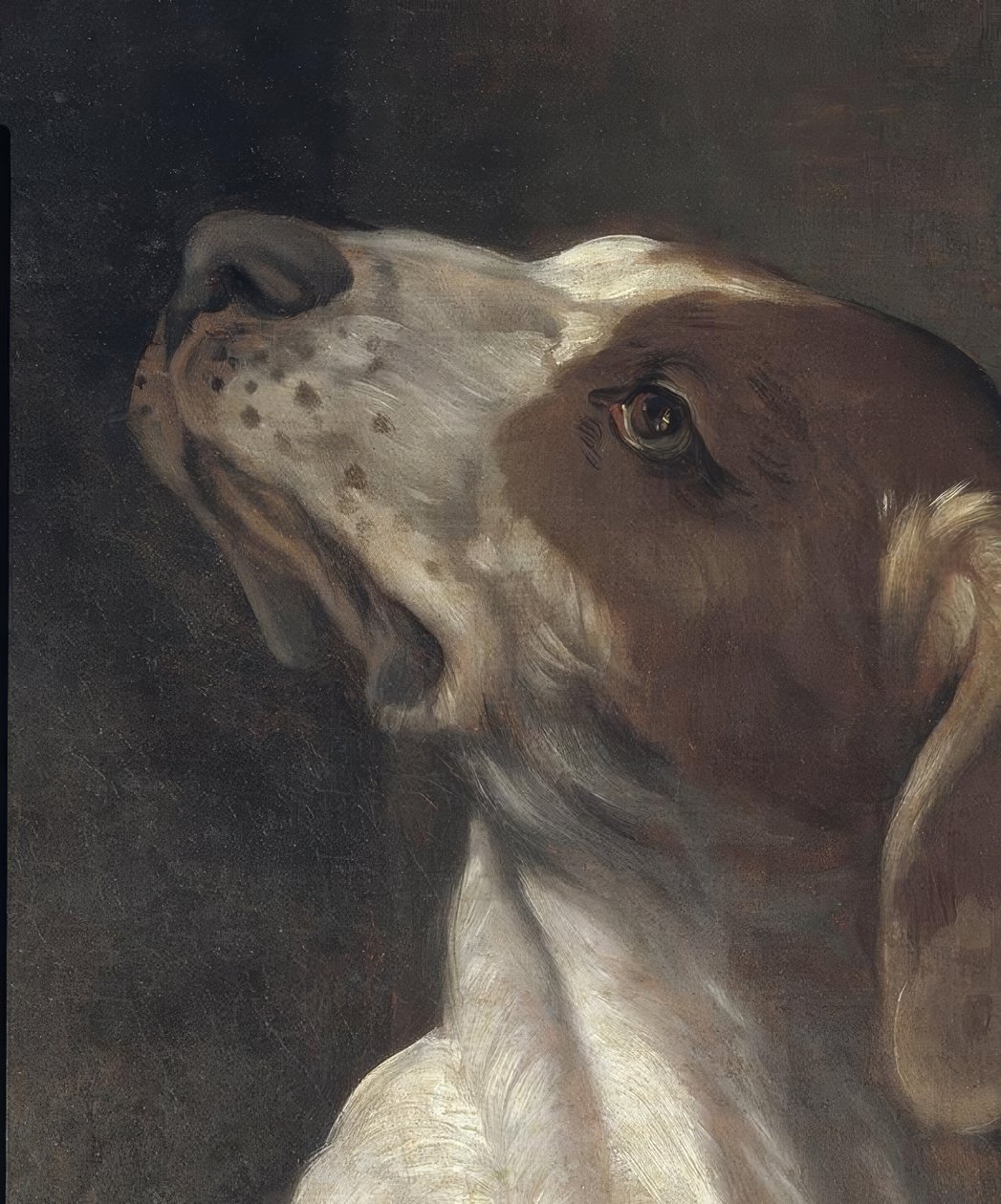 Saint Roch i fängelse, tröstad av en ängel av Guido Reni
