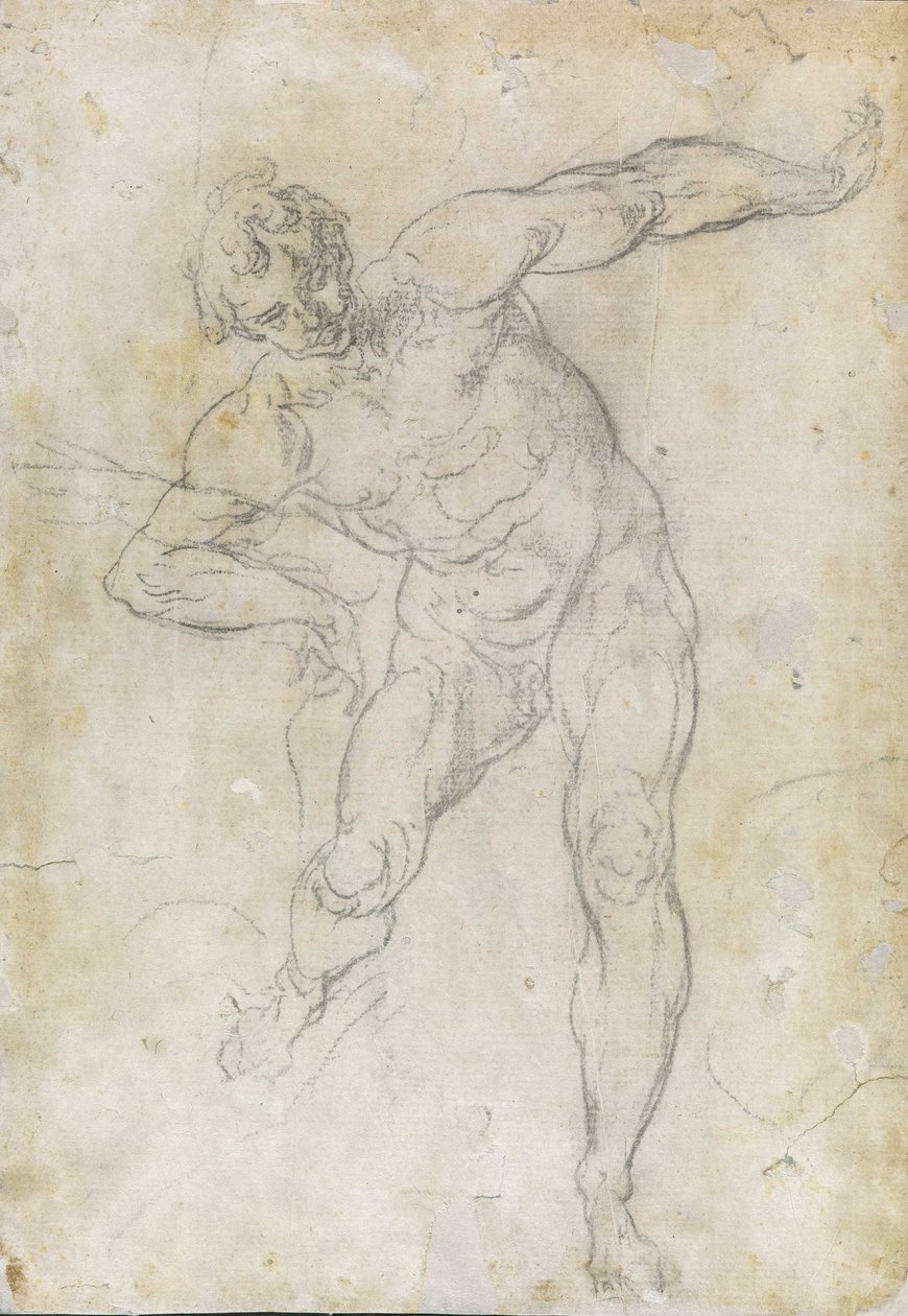 Male nude study av Guido Reni