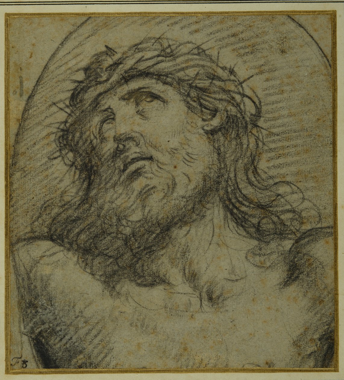Den levande Kristus korsfästes huvud och axlar (svart krita på carta azzurra) av Guido Reni