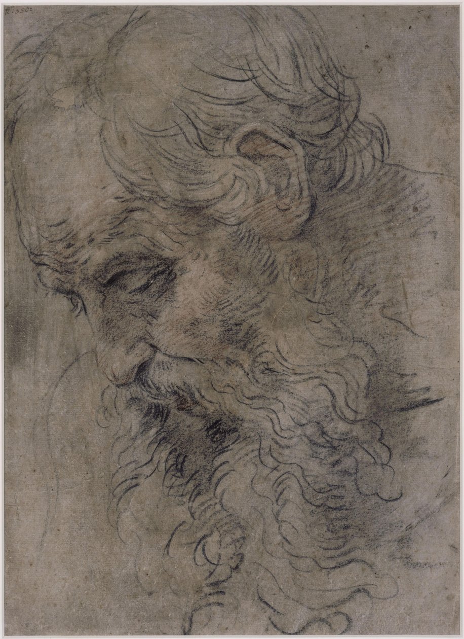 Den helige Paulus eremitens huvud av Guido Reni