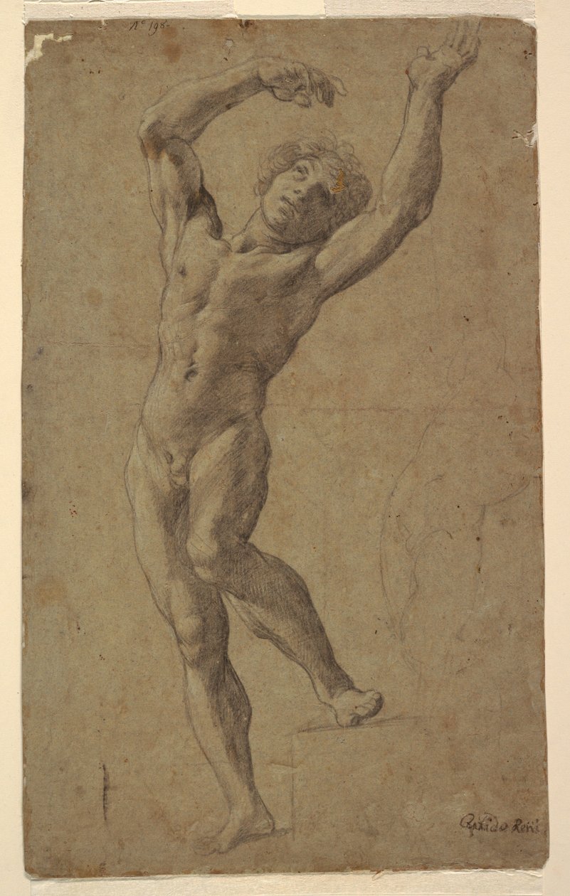 Studie för St. Sebastian, Pomarici Santomasi-museet, Puglia, Italien av Guido Reni