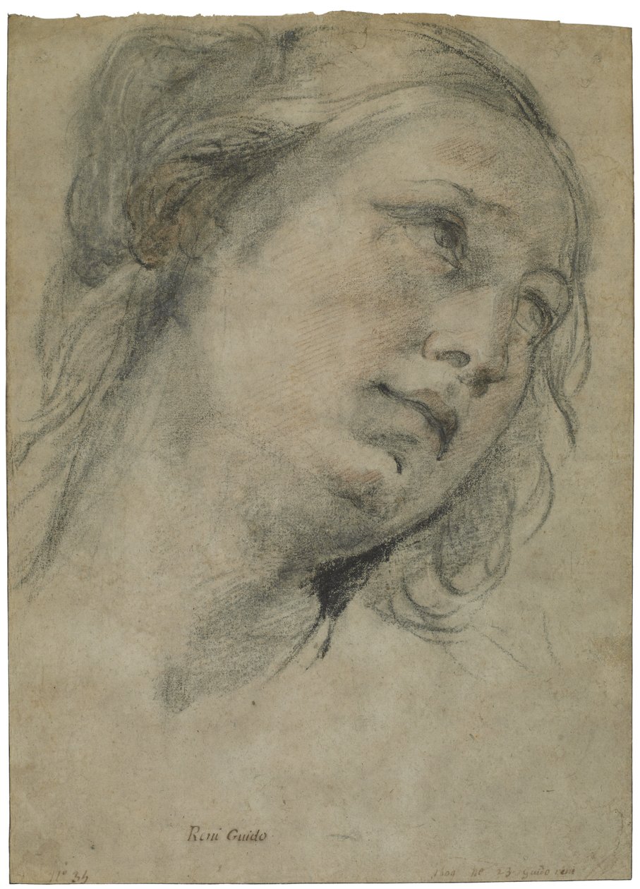The Head of a Young Woman Looking Upward, ca 1609 (svart och röd krita med inslag av vit krita på brunt papper) av Guido Reni