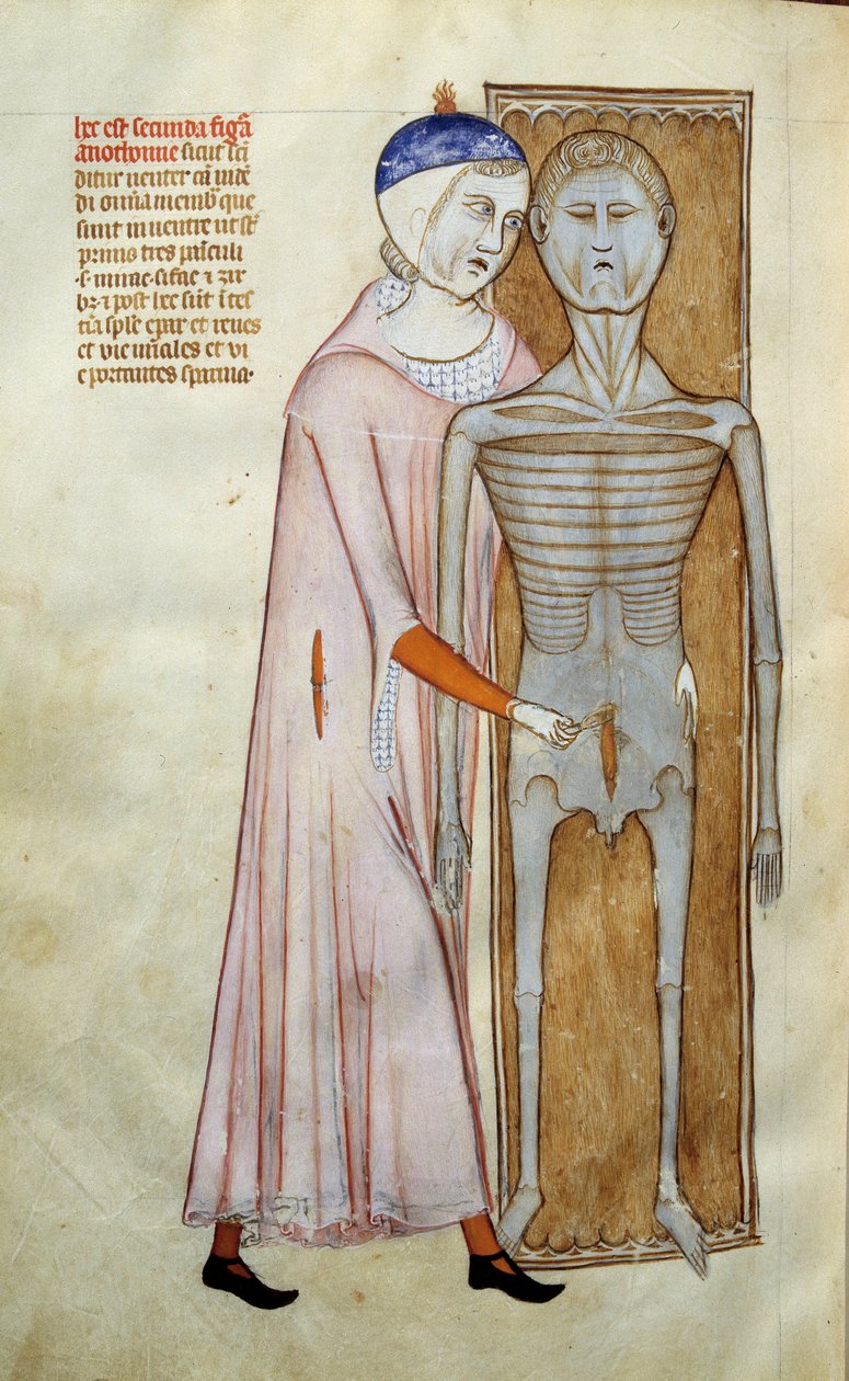 Medicin: anatomi och kirurgisk tavla som representerar en dissektionsscen - Sidan hämtad från manuskriptet "Liber notables of Philip the seventh king of the franks, extrahered from the books of Galien"" av Gui de Pavie av Guido da Vigevano da Pavia