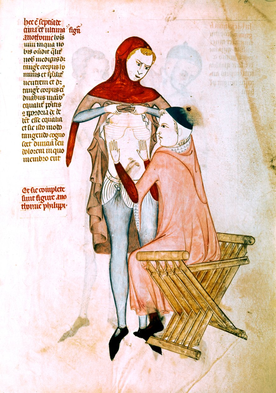 Läkare undersöker patient (miniatyr) av Guido da Vigevano da Pavia