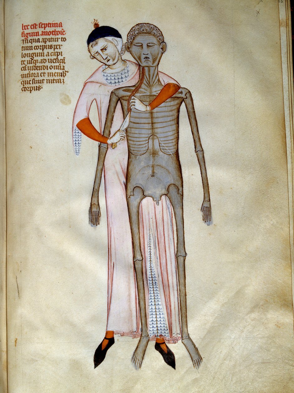 Kirurgi: Dissektion av bröstkorgen. Miniatyr i ""Liber notables Philippi den sjunde kungen av frankerna, extraherad från Galiens böcker"" skriven av Gui (kille) av Pavia av Guido da Vigevano da Pavia