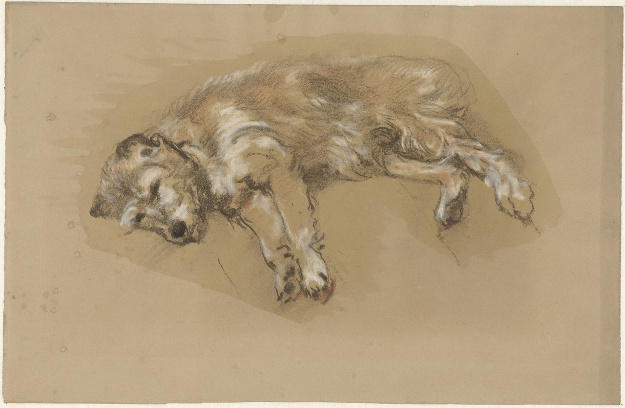 Liggande hund av Guillaume Anne van der Brugghen
