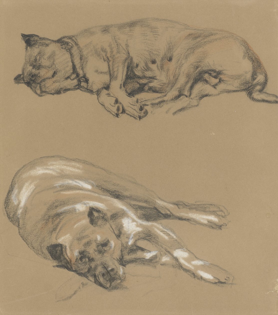 Två studier av en liggande hund av Guillaume Anne van der Brugghen