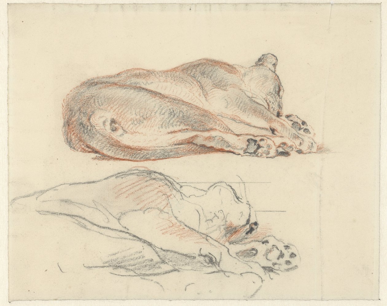 Två studier av en liggande tiger av Guillaume Anne van der Brugghen