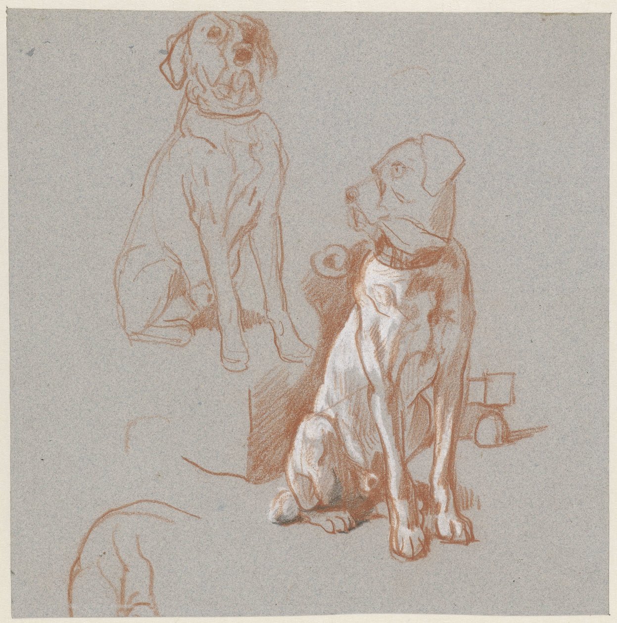 Två studier av en sittande hund av Guillaume Anne van der Brugghen