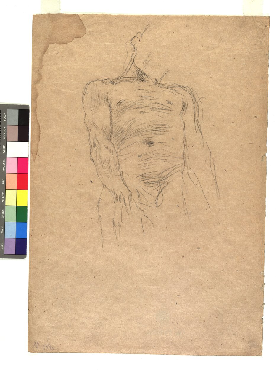 Männlicher Torso av Gustav Klimt