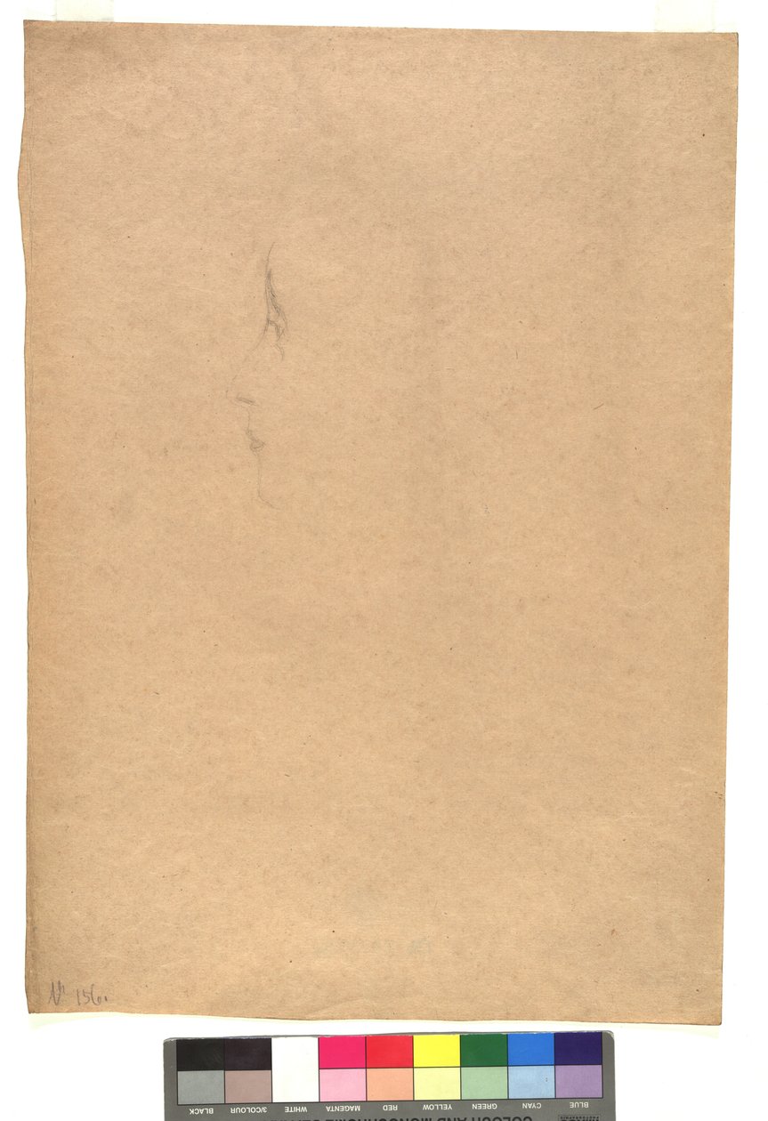 Weibliches Gesicht im Profil nach links av Gustav Klimt