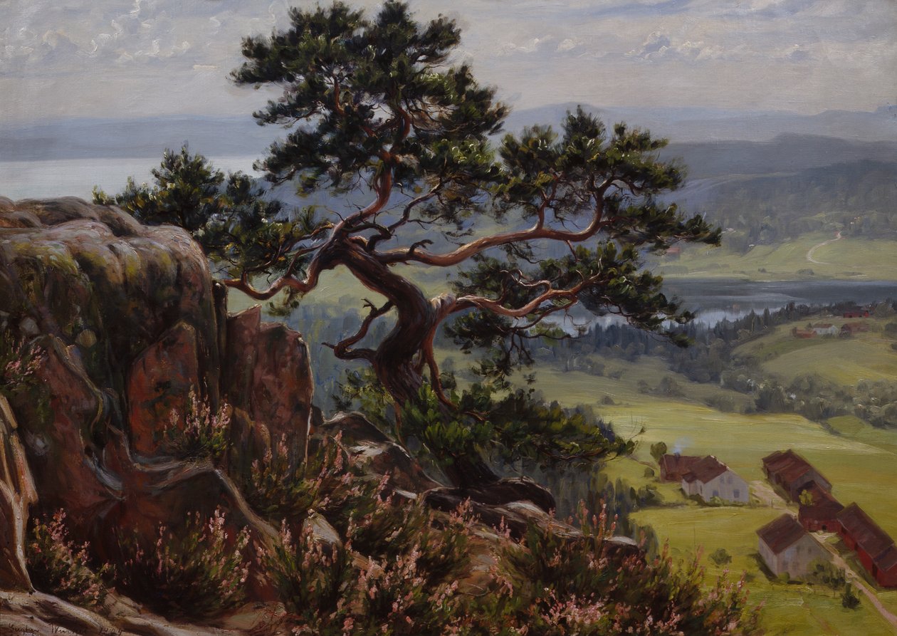 Utsikt över Vardåsen av Gustav Wentzel