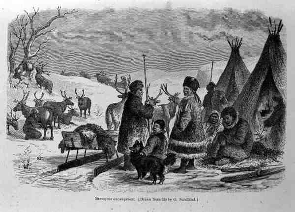 Samoyede Encampment, från The History of Mankind av professor Friedrich Rayzel, publicerad 1904. av Gustav after Sundblad