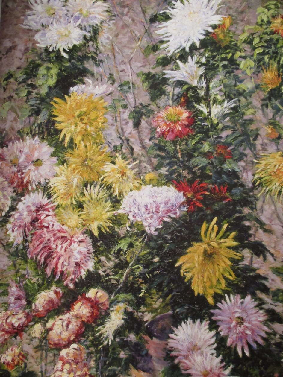 Vita och gula krysantemum av Gustave Caillebotte