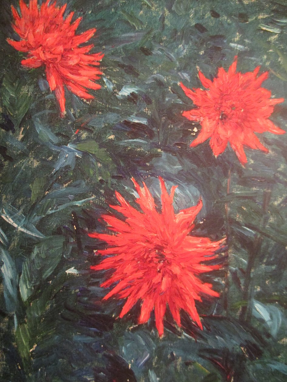 Dahlias cactus rouges (1892) av Gustave Caillebotte