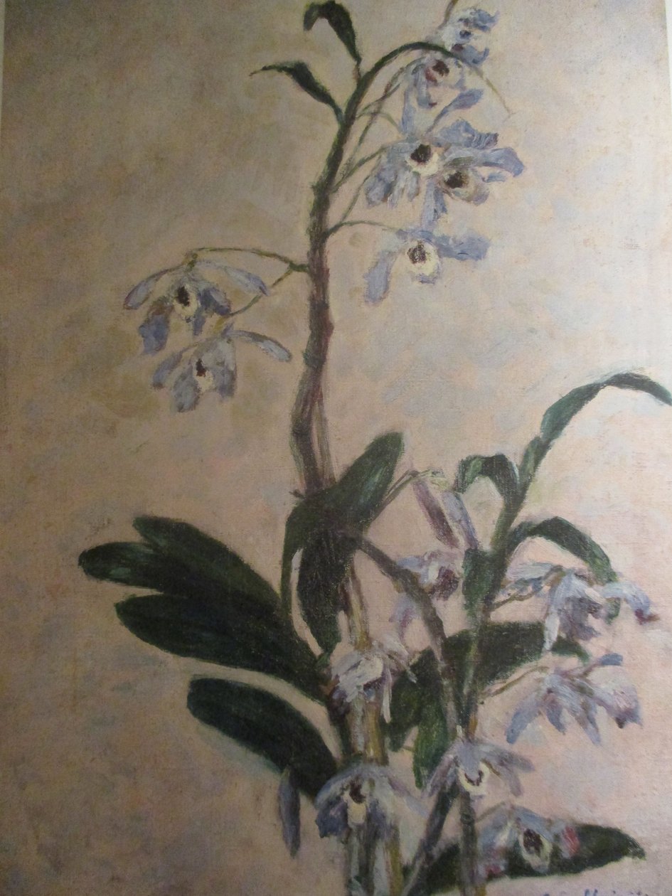 Les Orchidées av Gustave Caillebotte