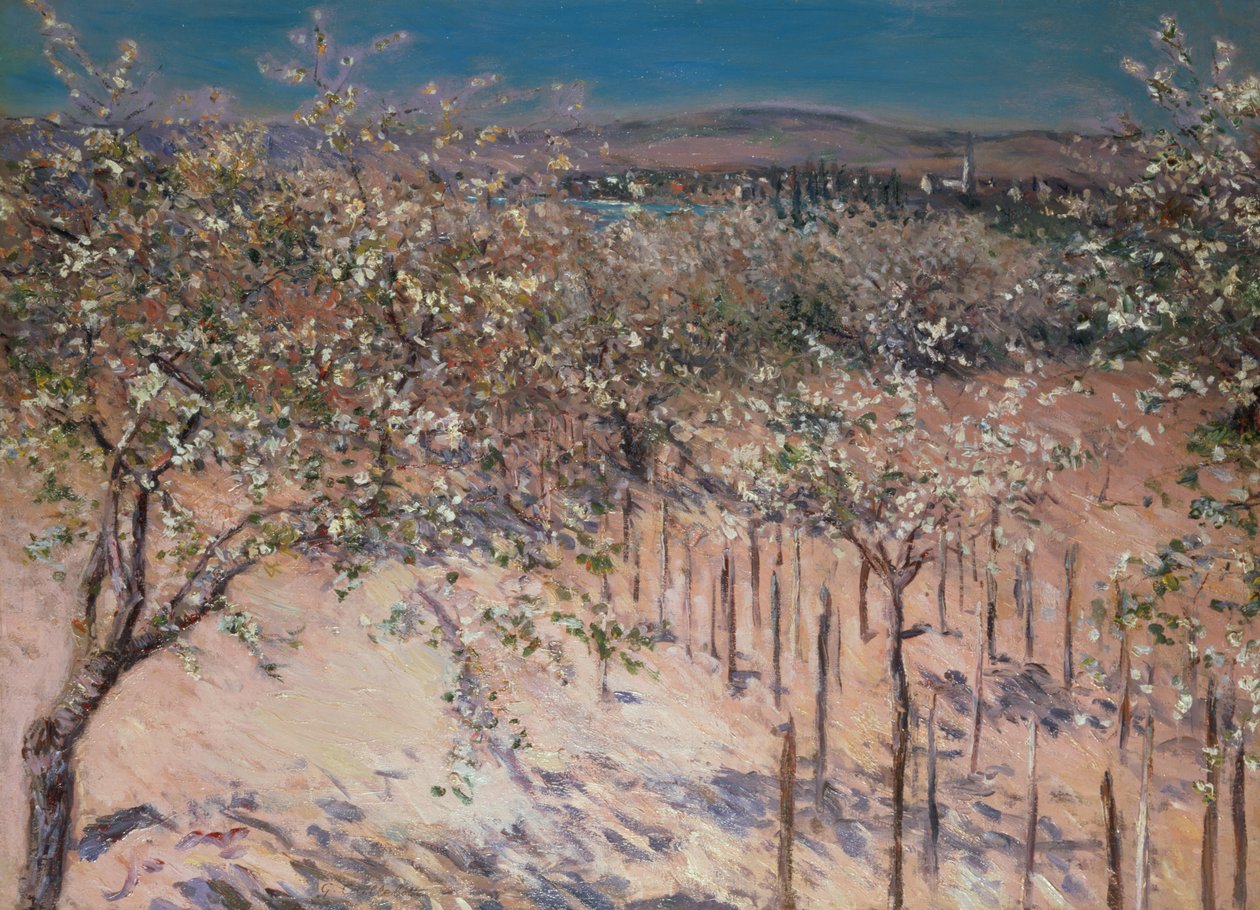 Frugthave med blomstrende æbletræer, Colombesswed av Gustave Caillebotte