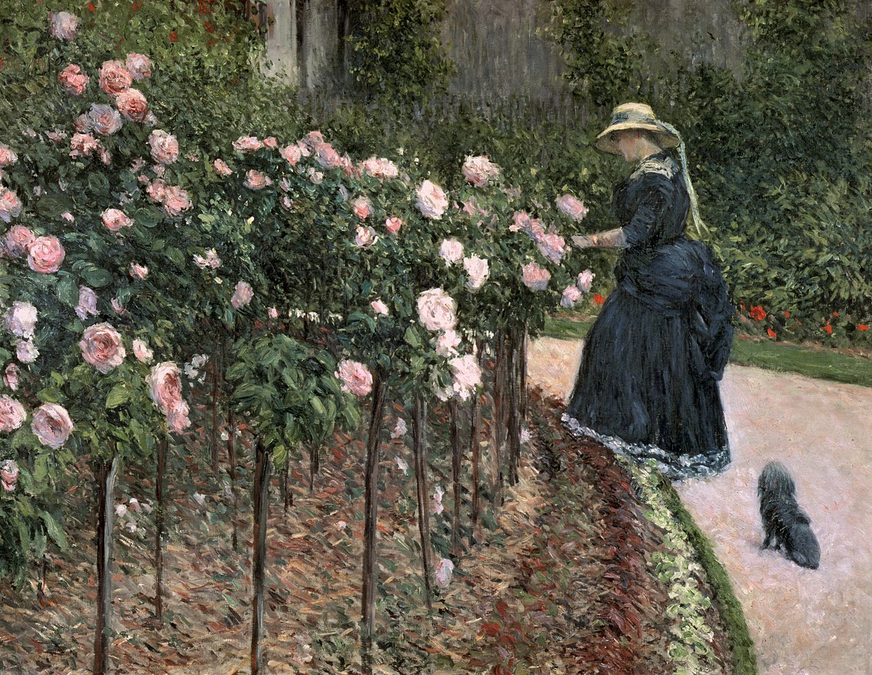 Rosor i trädgården i Petit Gennevilliers, 1886 av Gustave Caillebotte
