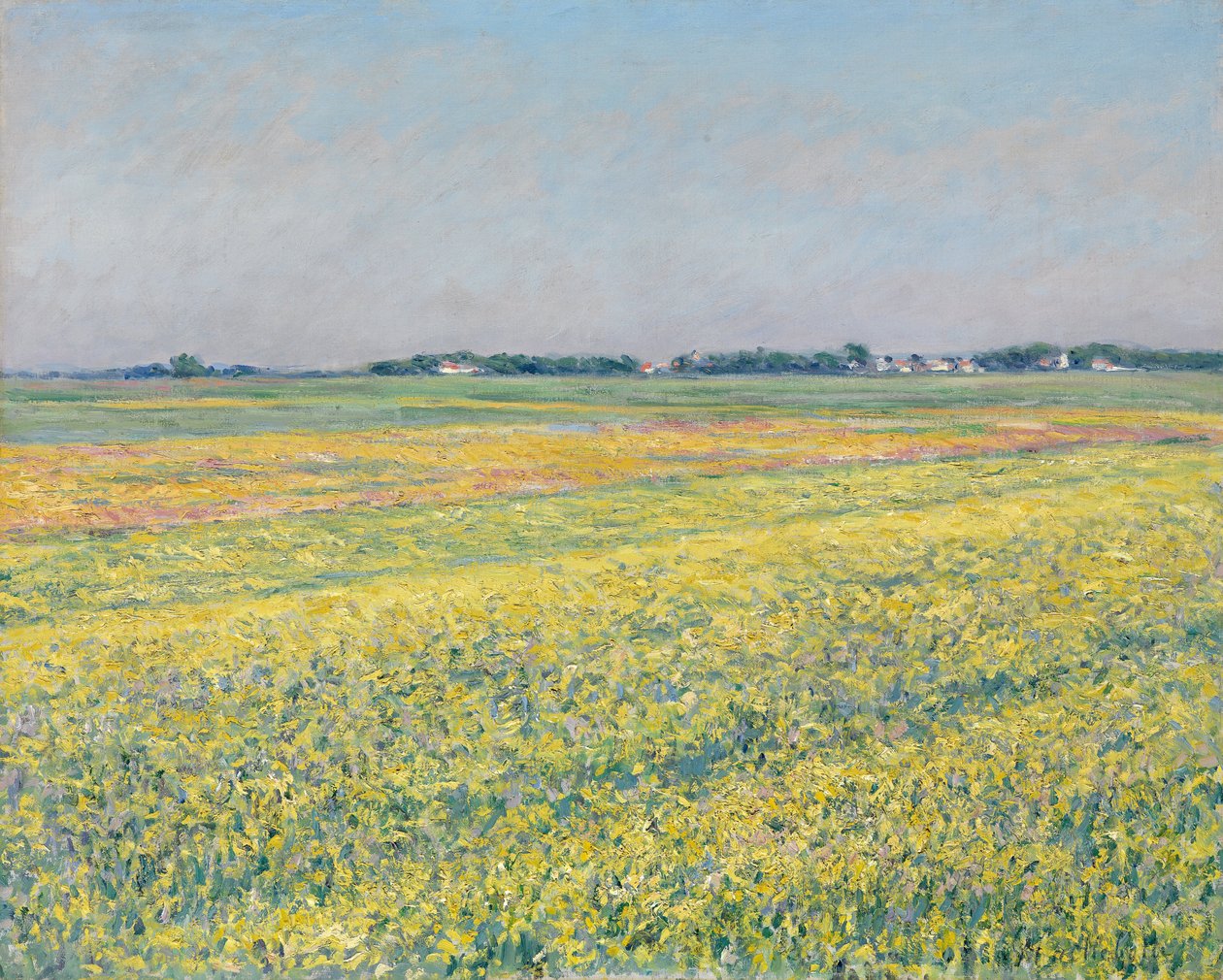 Gennevilliers slätt, gula fält av Gustave Caillebotte