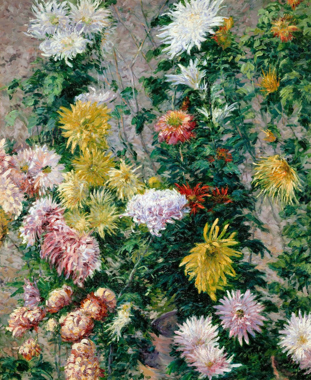 Vita och gula krysantemum, 1893 av Gustave Caillebotte