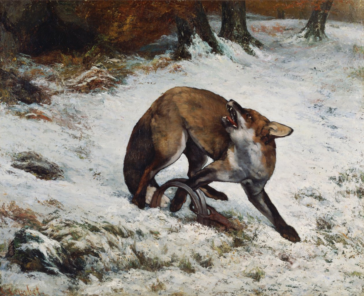 Fox Caught in a Trap av Gustave Courbet