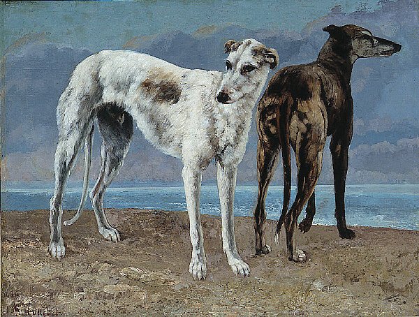 The Greyhounds of the Comte de Choiseul av Gustave Courbet