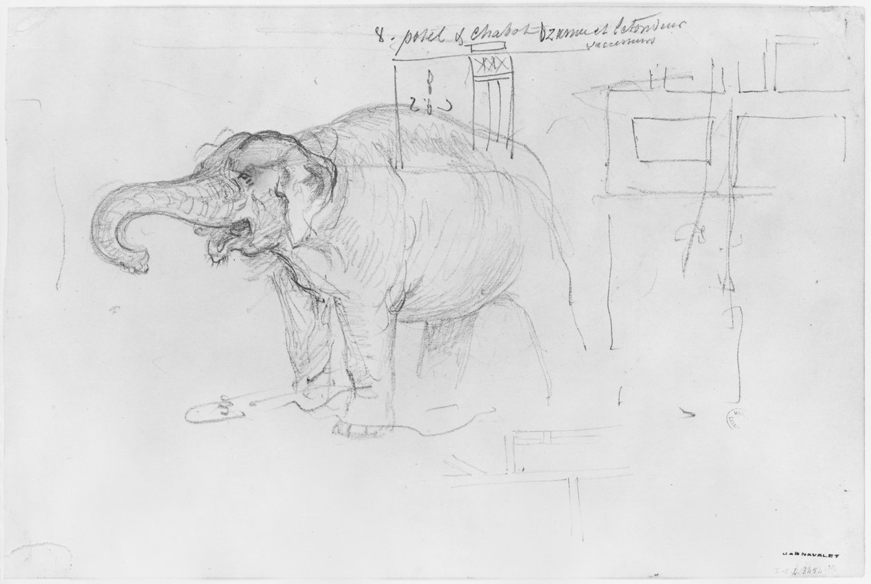 Album om belägringen av Paris, Elephant (penna och brunt bläck, tvätt och blyerts på papper) av Gustave Dore
