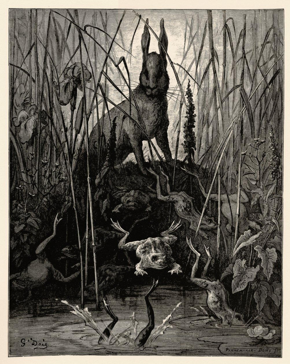 Haren och grodorna av Gustave Dore