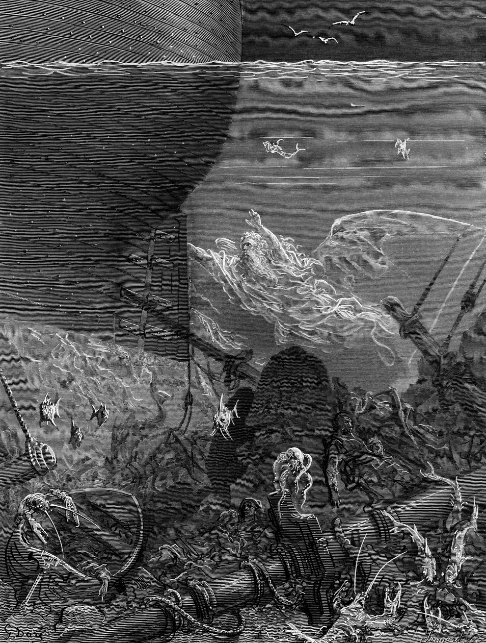 Anden som hade följt skeppet från Antarktis, scen från 