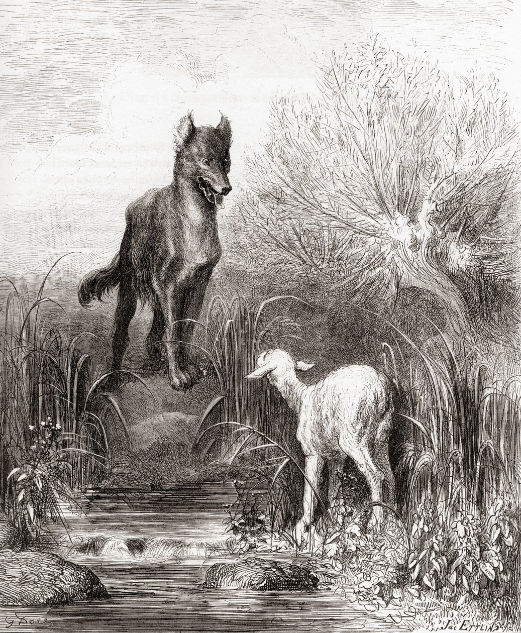 Vargen och lammet, från en sen 1800-talsutgåva av Fables de La Fontaine (trästick) av Gustave Dore