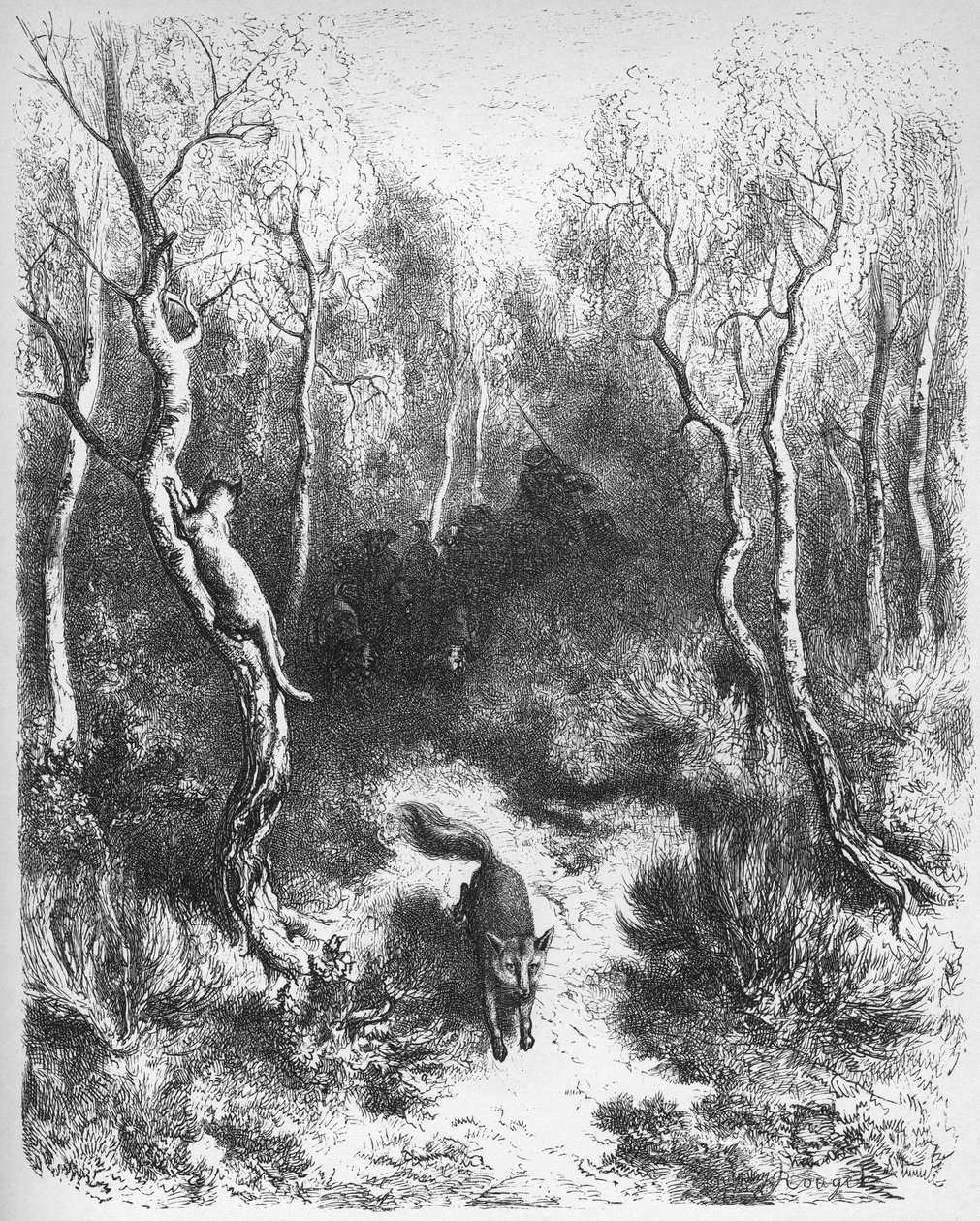 le chat et le fox - Räven och katten - från 
